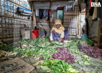 Rohingya Refugees Turn to Home Gardening for Food Security and Mental Well-being in Bangladesh Camps
