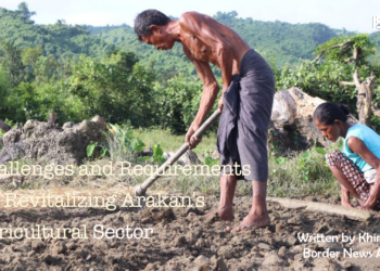Challenges and Requirements for Revitalizing Arakan’s Agricultural Sector
