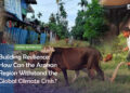Building Resilience: How Can the Arakan Region Withstand the Global Climate Crisis?