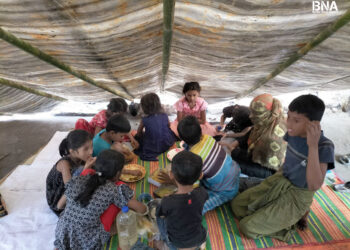 Rohingya Child Malnutrition Reaches Critical Levels in Bangladesh Refugee Camps