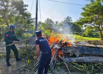 Kratom Leaf Misuse Increasing Among Young People as Narcotic