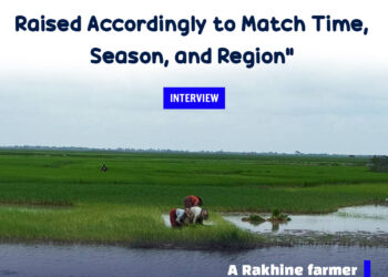 “Rice Prices Must BeRaised Accordingly to Match Time, Season, and Region”