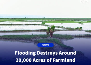 Flooding Destroys Around 20,000 Acres of Farmland