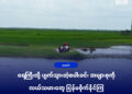 (ဓာတ်ပုံ -မင်းပြားမြို့နယ်က လယ်ယာလုပ်ငန်ခွင်ကို သြဂုတ်လပထမအပတ်ကတွေ့ရပုံ / BNA)