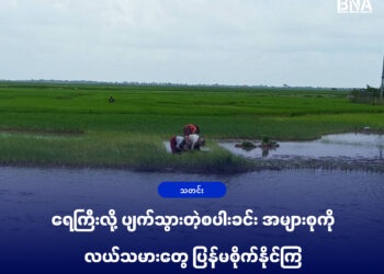 (ဓာတ်ပုံ -မင်းပြားမြို့နယ်က လယ်ယာလုပ်ငန်ခွင်ကို သြဂုတ်လပထမအပတ်ကတွေ့ရပုံ / BNA)