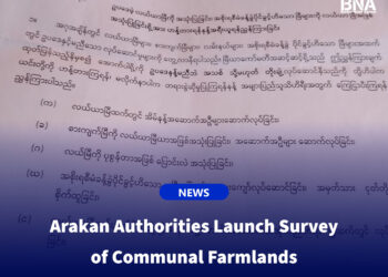 Arakan Authorities Launch Survey of Communal Farmlands