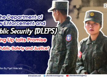 Is the Department of Law Enforcement and Public Security (DLEPS) Living Up to Its Promise of Public Safety and Justice?