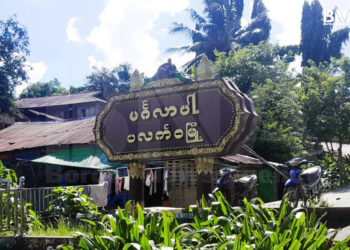 Four, Including Children, Die of Dengue Fever in Paletwa