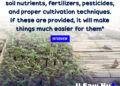 “What farmers mainly need are soil nutrients, fertilizers, pesticides, and proper cultivation techniques. If these are provided, it will make things much easier for them”