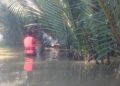 Bodies of Father and Son Missing After Boat Capsizes Found in Mrauk-U