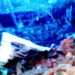 Airstrike Kills Civilian in Ponnagyun Township