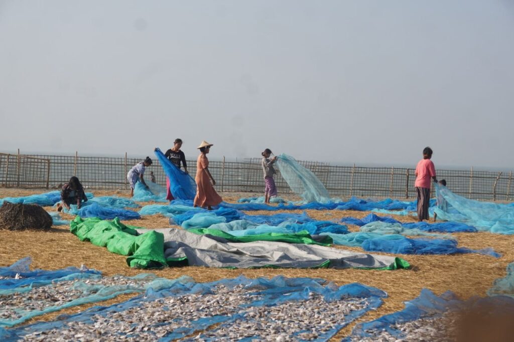 (Photo: Dried fish being sun-dried in Arakha / BNA)