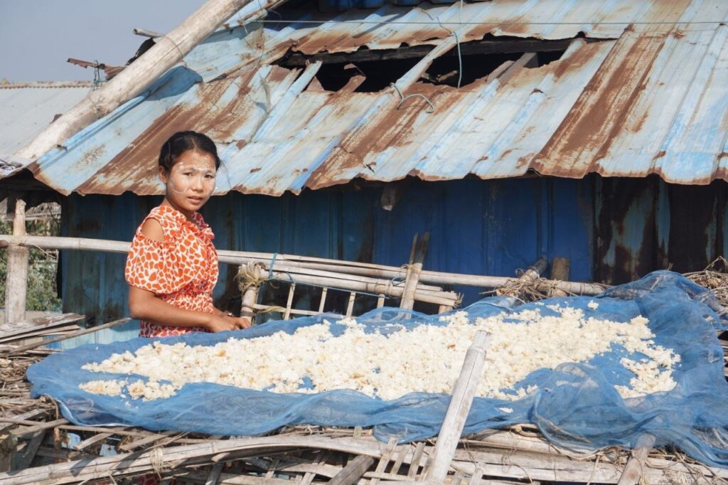 (Photo: Cooked Rice being dried in Arakha / BNA)