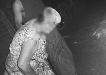 Five Injured in Military Airstrikes on Werathani Town (Photo News)