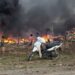 Six Displaced People Killed in Military Airstrike on Yo Ngu Displacement Camp in Ponnagyun
