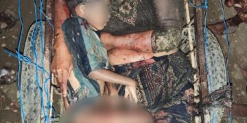 Seven Civilians Killed and 17 Injured in Myanmar Military Airstrike on Wira Thani Township