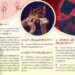 10-Year-Old Girl Allegedly Raped by Uncle in Ponnagyun