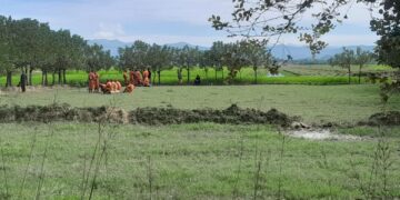 Land Reportedly Set for Compulsory Acquisition in Mrauk-U Township Being Surveyed and Demarcated