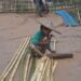 Displaced Women in Arakha Region in Need of Assistance