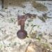 Two Civilians Injured in Military Airstrike on Aizanapura Town