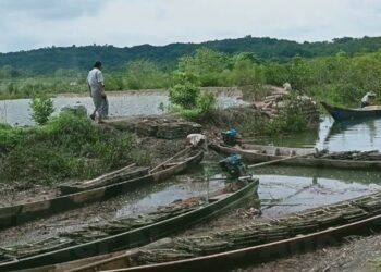 Families Urge AA to Release Eight Displaced People Detained for Cutting Firewood for Daily Wages in Ramree