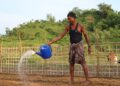 How Can Communities Protect Their Livelihoods from El Niño?
