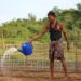 How Can Communities Protect Their Livelihoods from El Niño?